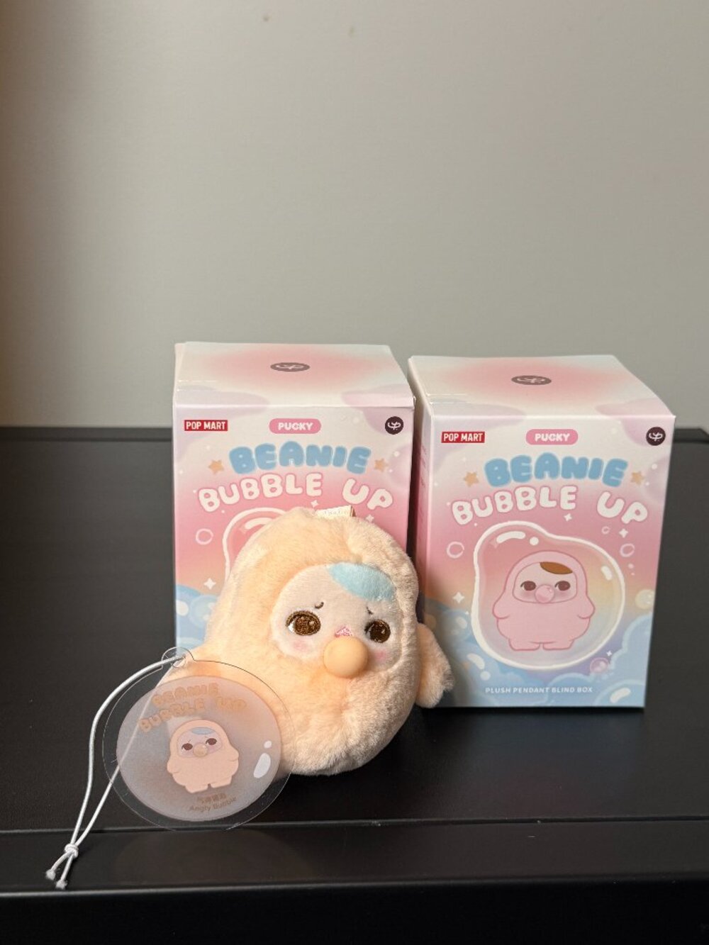 PUCKY BEANIE BUBBLE UP 1 CONFIRMED 1 BLIND